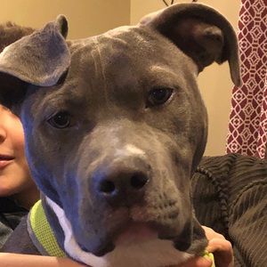 Meet your Posher, Heather